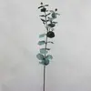 1. Blue/Grey Eucalyptus Gum Leaf Spray 80cm thumbnail