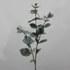 Eucalyptus Dollar Gum Leaf Spray 67cm thumbnail