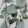 1. Eucalyptus Dollar Gum Leaf Spray 67cm thumbnail