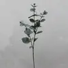 2. Eucalyptus Dollar Gum Leaf Spray 67cm thumbnail