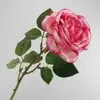 1. David Austin Rose Pink 50cm thumbnail