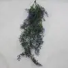 Baby Tears Hanging Bush Purple 80cm thumbnail