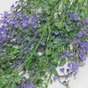 1. Baby Tears Hanging Bush Purple 80cm thumbnail