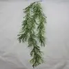 Elk Horn Hanging Vine Bush 100cm thumbnail