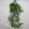 Asparagus Fern Hanging Vine Bush 125cm thumbnail