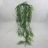 1. Asparagus Fern Hanging Vine Bush 125cm thumbnail