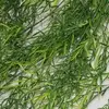 2. Asparagus Fern Hanging Vine Bush 125cm thumbnail