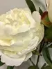 1. Peony Flower Spray 73cm White thumbnail