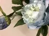 1. Peony Spray Light Blue 73cm thumbnail