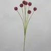 1. Billy Buttons Spray 60cm Pink thumbnail