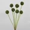 Billy Buttons Spray 60cm Dark Green thumbnail