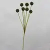 1. Billy Buttons Spray 60cm Dark Green thumbnail