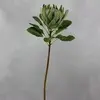 1. King Protea Flower 73cm Green thumbnail