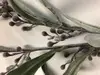 1. Mimosa Wattle Seed Spray 80cm thumbnail
