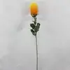 1. Small Banksia Praemorsa Yellow / Orange 68cm thumbnail
