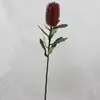 1. Medium Banksia Burgundy/Mauve 70cm thumbnail