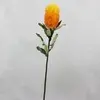 1. Medium Banksia Yellow / Orange 70cm thumbnail