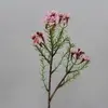 Short Wax Flower Pick 27cm Pink thumbnail
