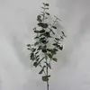 Tall Round Leaf Eucalyptus Gum Spray Green 100cm thumbnail