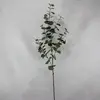 1. Tall Round Leaf Eucalyptus Gum Spray Green 100cm thumbnail