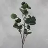 Broad Leaf Eucalyptus Gum Spray with Small Gumnuts 81cm Grey thumbnail