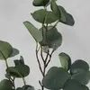 1. Broad Leaf Eucalyptus Gum Spray with Small Gumnuts 81cm Grey thumbnail