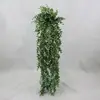 Eucalyptus Dollar Gum Hanging Bush 60cm  thumbnail