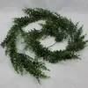 Baker Fern Vine Garland 6ft thumbnail