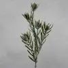 Protea Bud Spray 77cm Cream thumbnail