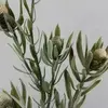 1. Protea Bud Spray 77cm Cream thumbnail