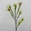 Leucadendron Spray 63cm  thumbnail