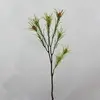 2. Leucadendron Spray 63cm  thumbnail