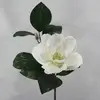 Large White Magnolia with Leaves & Buds 70cm thumbnail