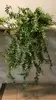 Bushy Bakers Fern Hanging Bush 94cm thumbnail