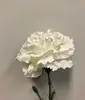 1. Single Carnation 61cm White thumbnail