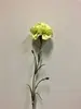 Single Carnation 61cm Green thumbnail