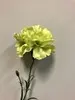 1. Single Carnation 61cm Green thumbnail