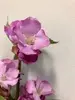 1. Short Cherry Blossom 35cm Pink thumbnail