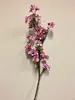 Tall Blossom Spray 104cm Pink thumbnail