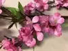 1. Tall Blossom Spray 104cm Pink thumbnail