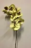 Tall Real Touch Phalaenopsis Orchid 102cm Green thumbnail