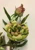 1. Peony Flower Spray 73cm Green thumbnail