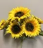 Sunflower Bush 44cm thumbnail