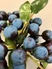 1. Berry Cluster Blue 28cm thumbnail