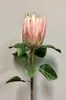1. Protea 65cm Peach/Pink thumbnail