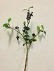 Lingonberry Spray 53cm Black/Blue thumbnail