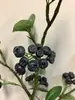1. Lingonberry Spray 53cm Black/Blue thumbnail