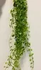 Hanging Button Leaf Bush 40cm thumbnail