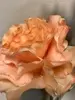 1. Ruffle Carnation Sray x 3 63cm Peachy Orange thumbnail