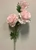 Ruffle Carnation Spray x 3 63cm Pastel Pink thumbnail